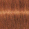Coloration d'oxydation Igora Royal 7-77 Blond cuivré extra