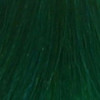Coloration temporaire pine green n°46