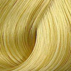 Coloration ton sur ton Color Touch 10/0