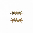 Lot de 2 barettes Étoile de mer doré