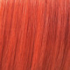 Coloration créative temporaire Color Fresh Create
