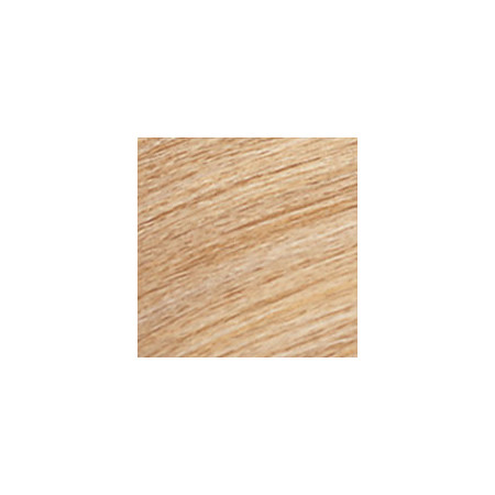 Coloration ton sur ton Shades Eq Gloss Doré beige 09GB Butte