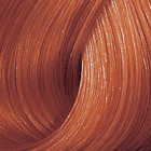 Coloration sans ammonique color touch wella