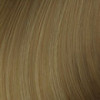 Coloration ton sur ton Dia Richesse 8.31 Beige doré