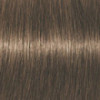 Coloration d'oxydation Igora Royal Absolutes 6-50 Blond foncé doré naturel