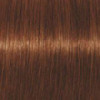 Coloration d'oxydation Igora Royal Absolutes 6-70 Blond foncé cuivré naturel