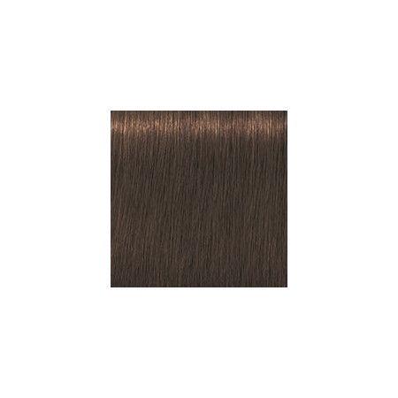 Coloration d'oxydation Igora Royal Absolutes 7-460