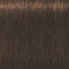 Coloration d'oxydation Igora Royal Absolutes 7-460