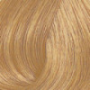 Coloration ton sur ton Color Touch 9/73