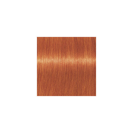 Coloration d'oxydation Igora Royal Mix 0-77 Orange