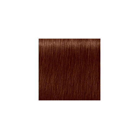 Coloration d'oxydation Igora Royal Absolutes 7-470