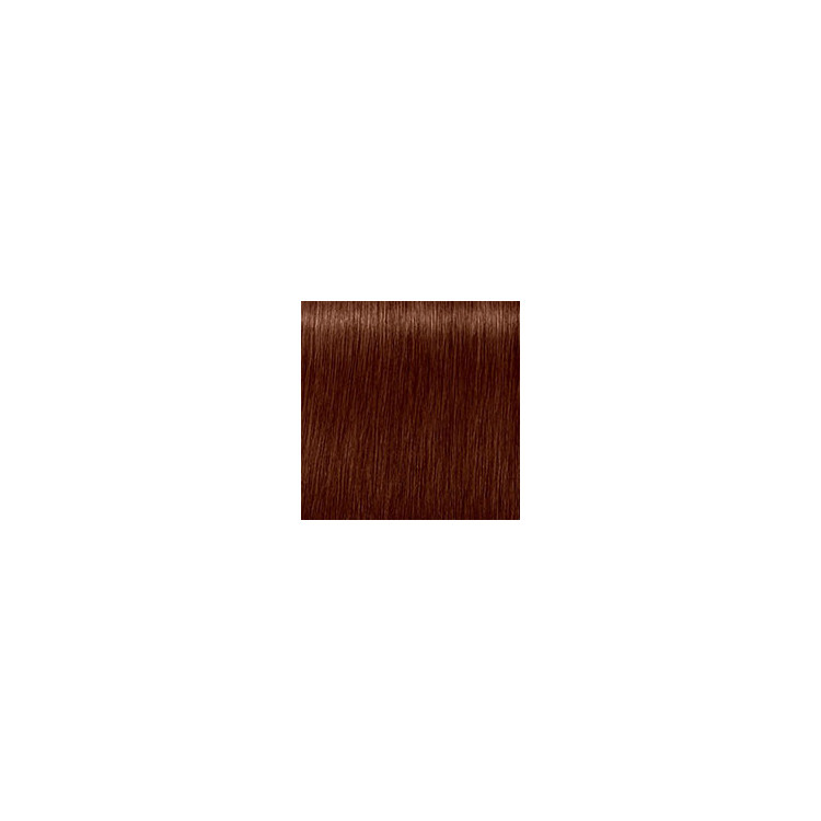 Coloration d'oxydation Igora Royal Absolutes 7-470
