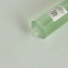 Tonique Rafraîchissant Exfoliant Green Plum Refreshing Toner : AHA + BHA