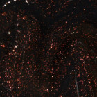 Vernis à ongles Nail Laquer Grunge Queen / 15ml