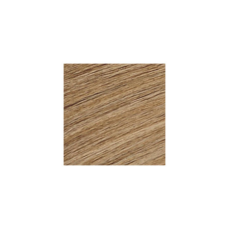 Coloration ton sur ton Shades Eq Gloss Naturel beige 9NB Iri
