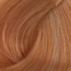 Coloration permanente 9.3 Blond très clair doré Coiffeo
