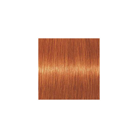 Coloration d'oxydation Igora Royal 8-77 Blond clair cuivré extra