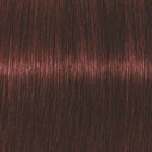 Coloration d'oxydation Igora Royal Absolutes 5-80 Chatain clair rouge naturel