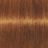 Coloration d'oxydation Igora Royal Absolutes 7-70 Blond cuivré naturel