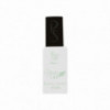 Base coat green LAK