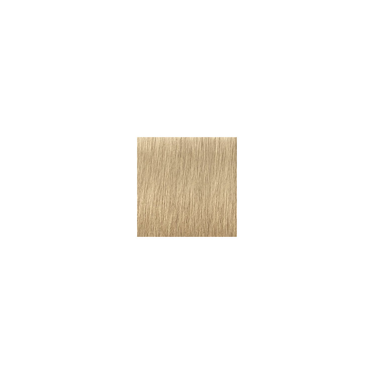 Coloration d'oxydation Igora Royal Highlifts 10-0