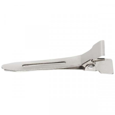Clips métal pointu x100