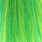 Coloration temporaire emeral green n°53