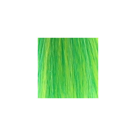 Coloration temporaire emeral green n°53