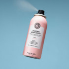 Spray fixant thermo-protecteur
