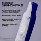 BM Shampooing Violet