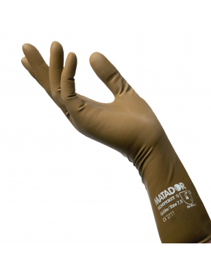 1 Paire de gants en latex