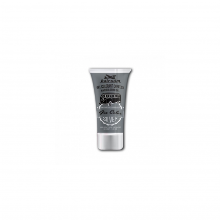Gel colorant cheveux Fix Color Argent