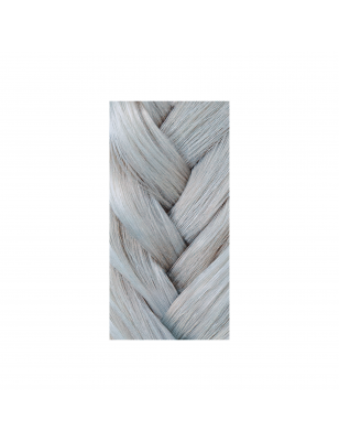 Gloss Toner 10-1 ash