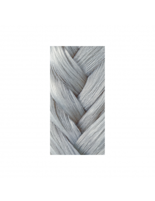 Gloss Toner 9-01 natural ash