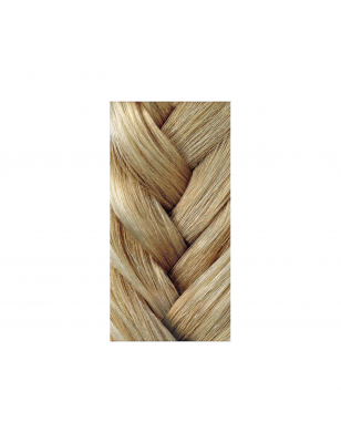 Gloss Toner 9-8 brown