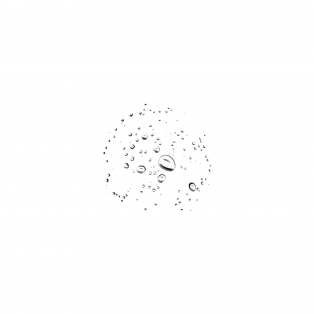 Fixateur de maquillage The Face Glue Spray