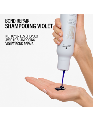 BM Shampooing Violet BM Shampooing Violet