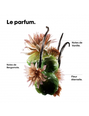 Huile réparatrice Absolut Repair Molecular - nutrition, anti-frisottis, brillance Huile réparatrice Absolut Repair Molecular - nutrition, anti-frisottis, brillance
