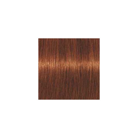 Coloration d'oxydation Igora Royal 6-77 Blond foncé cuivré extra