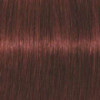Coloration d'oxydation Igora Royal Absolutes 6-80 Blond foncé rouge naturel