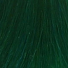 Coloration temporaire pine green n°46