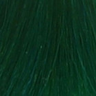 Coloration temporaire pine green n°46