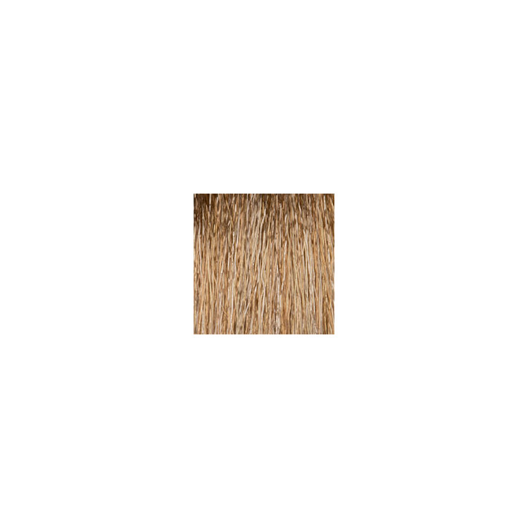 Coloration d'oxydation PURE7 8.13 Blond clair cendré doré