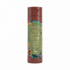 Kit de lissage à base de Protéines Força Da Floresta (3x120ml)