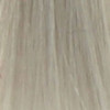 Coloration temporaire silver argent n°27