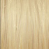 Coloration oxydation Illumina Color