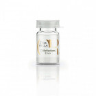 Elixir Oil Reflections (10x6ml)