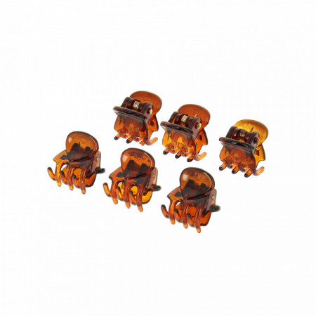 Mini pince marron x6