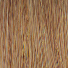 P3 Color 8 blond clair 60ml