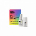 Mini kit Pro Hair Repair